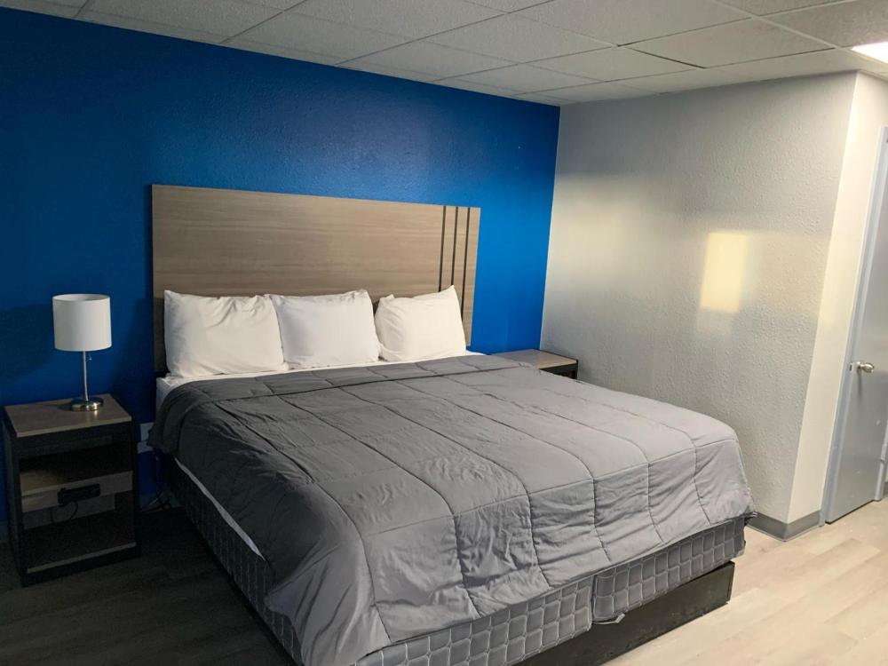 Single Room - Disability Access interior